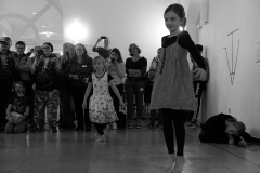 DSC00809_sw